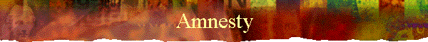 Amnesty