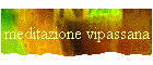 meditazione vipassana